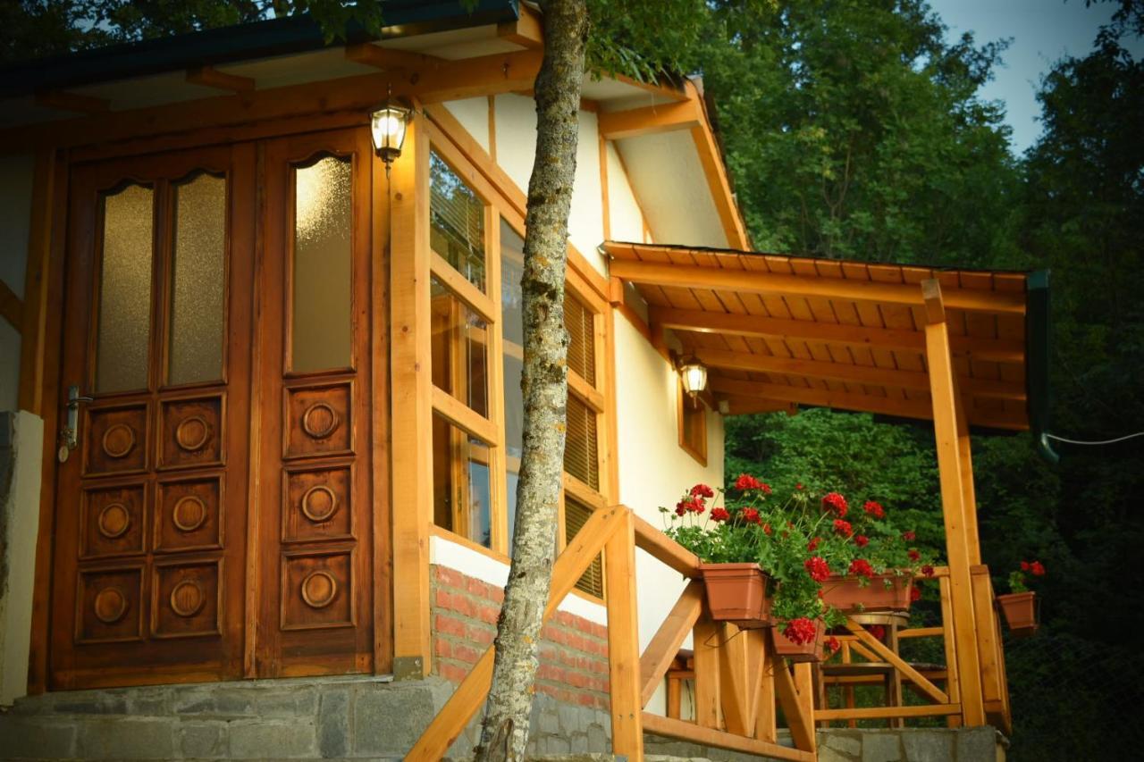 Appartement Sunset House à Ohrid Extérieur photo