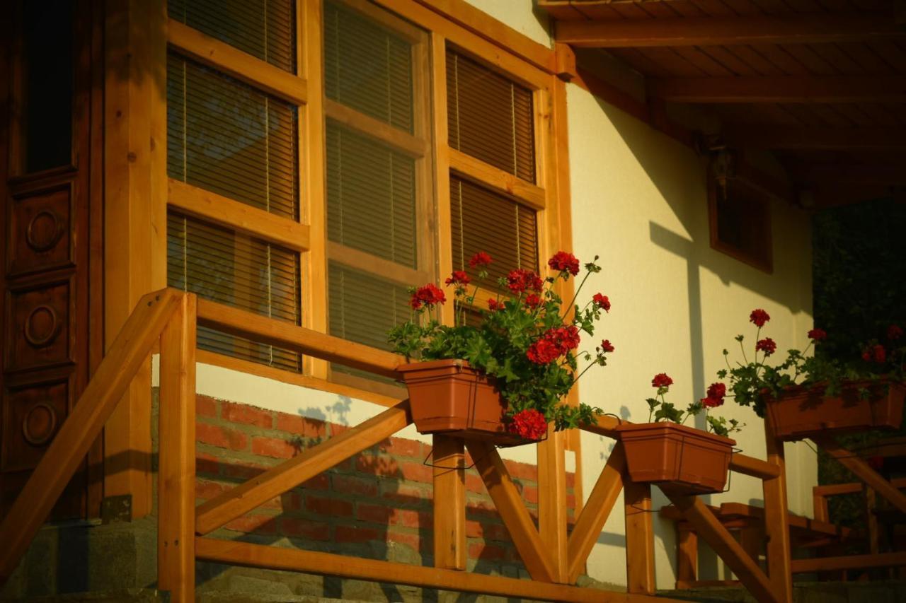Appartement Sunset House à Ohrid Extérieur photo